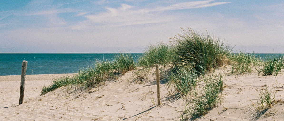 memories-on-35mm-M52sNPI_Zxo-unsplash